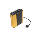 Стабилизатор напряжения Бастион ST-555-И Western gold black