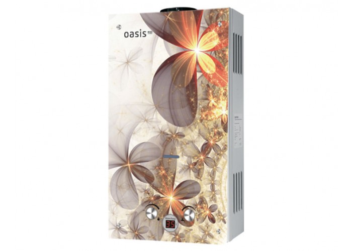 Газовая колонка Oasis Eco B-20