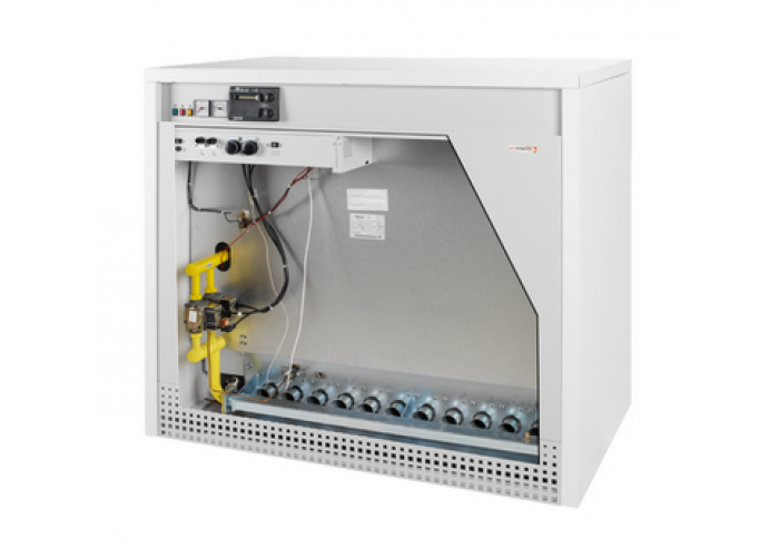 Напольный газовый котел Protherm Гризли 150 KLO