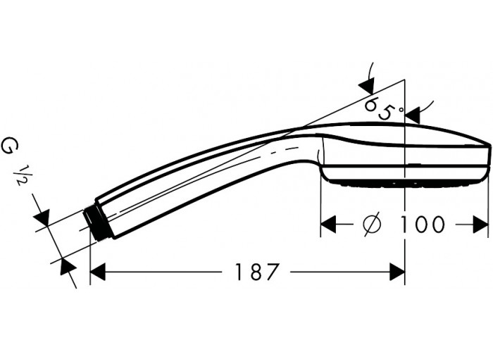 Душевая лейка Hansgrohe Croma 100 28580000