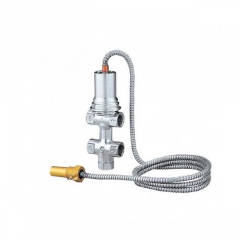 Protherm Комплект безопасности Caleffi 544 для котлов DLO (20049308)