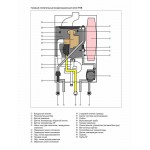 Настенный газовый конденсационный котел отопления Wolf FGB-24