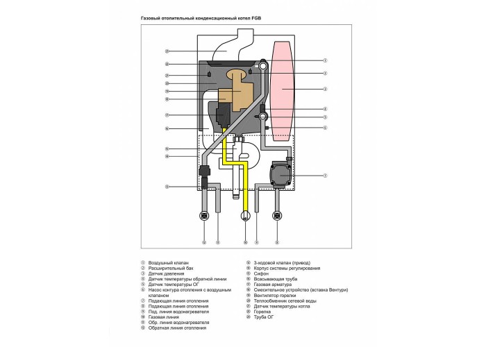 Настенный газовый конденсационный котел отопления Wolf FGB-24