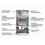 Настенный газовый двухконтурный котел отопления Baxi ECO NOVA 24F