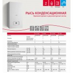 Настенный газовый конденсационный котел отопления Protherm Рысь К 25 MKO