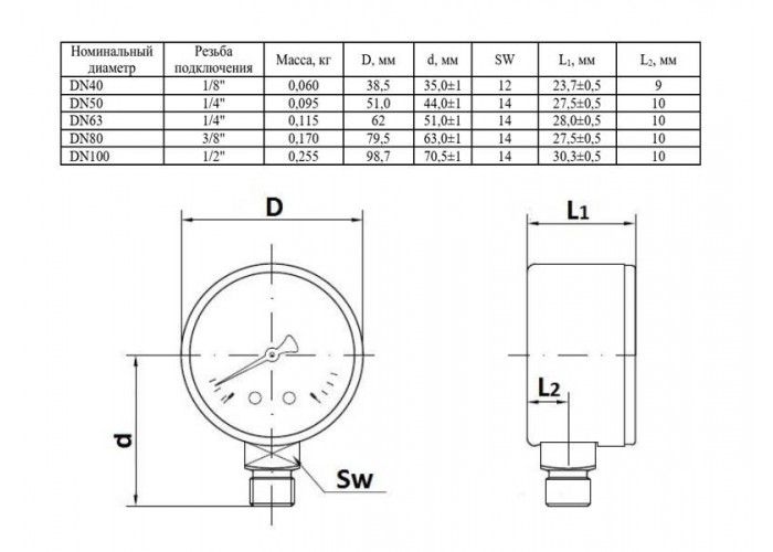 Манометр Watts F+R250 100/16, радиальный