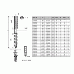 Винт-шуруп Walraven BIS Torx М10 х 60 мм