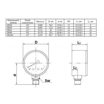 Манометр Watts F+R250 100/6, радиальный