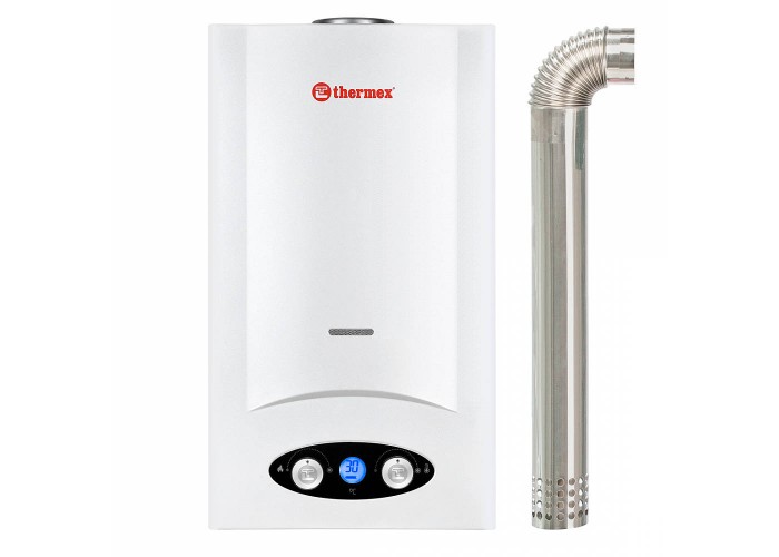 Газовая колонка Thermex G 20 TD (Pro)