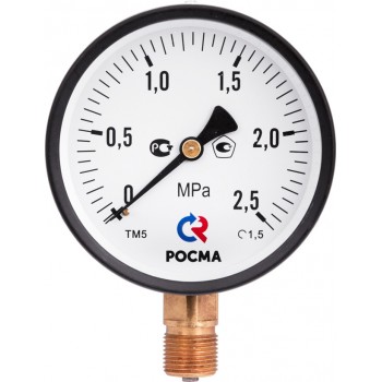 Манометр Росма TM-310P Dy 63 с нижним подключением 1/4 , 0-10 бар