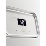 Настенный газовый конденсационный котел отопления Protherm Рысь К 25/30 MKV