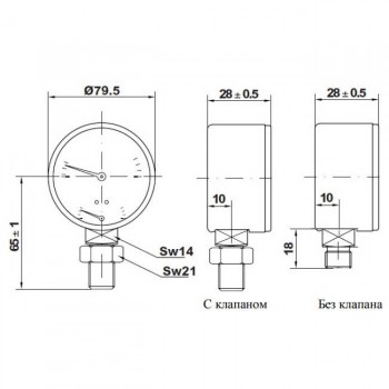 Термоманометр Watts F+R 828/10, радиальный